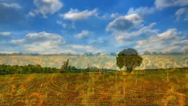 Зачем нам украинский язык? смотреть онлайн