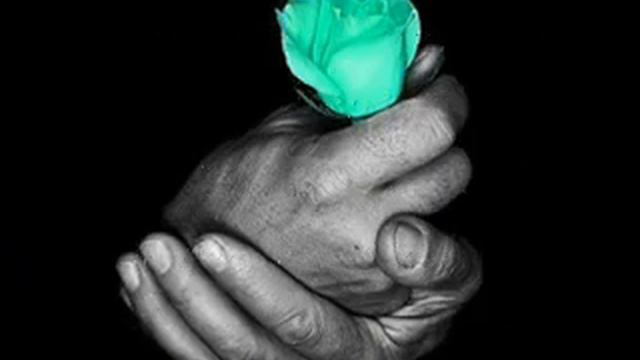 nil karaibrahimgil ruhum desen desen смотреть онлайн