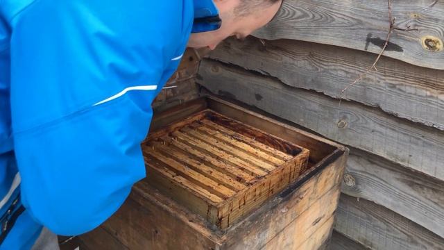 УЛЕЙ "ВЕЛИКОРУСЬКИЙ"™ Часть 23. Утепление зимой. Принцып КОЛПАКА смотреть онлайн