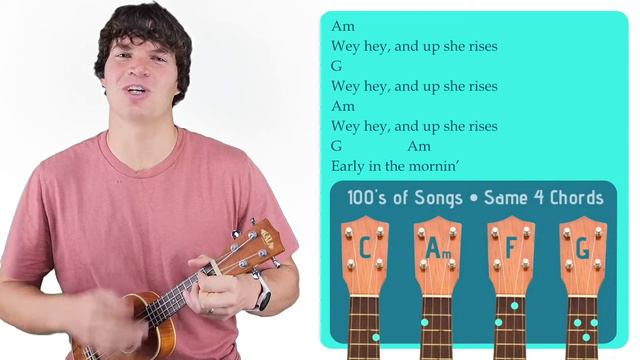 Drunken Sailor | Easy Ukulele Tutorial & Cover (167) смотреть онлайн