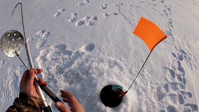 Зимняя рыбалка, жерлицы, щука, Щетинка! Pike fishing! смотреть онлайн