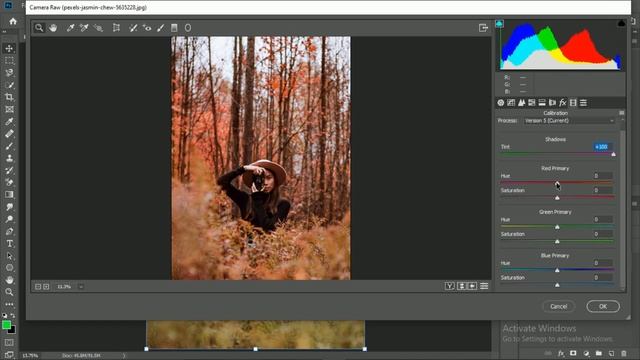 Photoshop camera raw preset red tone || photoshop tutorial смотреть онлайн