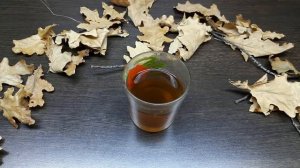 ДУБОВЫЕ ЛИСТЬЯ В АКВАРИУМЕ