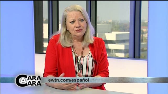 Cara A Cara - 2017-06-29 - Juventud, Adicciones Y Conductas De Alto Riesgo - Nancy Tosi смотреть онлайн