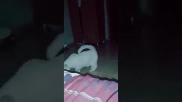 Каждое утро смотреть онлайн