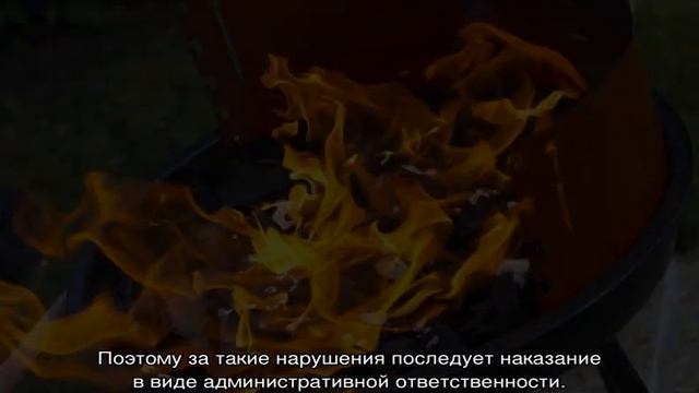 Штраф за разведение костра смотреть онлайн