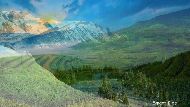 Дикие Животные | Учим самых больших хищных кошек в мире смотреть онлайн