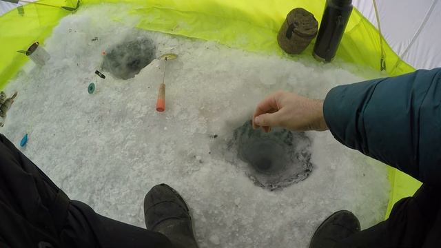 Окуни с трудом пролазят в сотую лунку смотреть онлайн