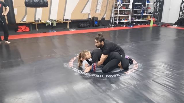 Tarikoplata From Turtle. Владимир Кучмистый и Лийси Вахт. #Tarikoplata