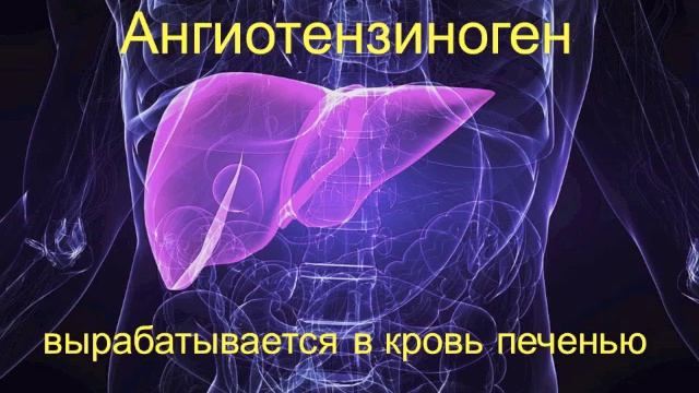 ЮГА и РААС (почки 5) смотреть онлайн