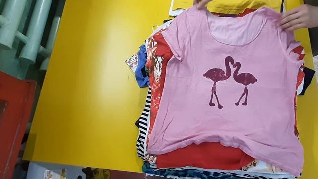 Футболки+Поло женские крем+супер крем (T-SHIRT+POLO WOMAN CREAM+SUPERCREAM) - Ж 85 смотреть онлайн