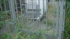 Вышка сотовой сети МТС