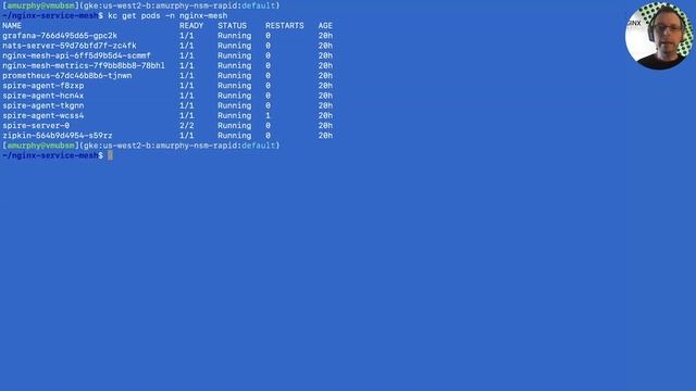 Getting Started with NGINX Service Mesh смотреть онлайн