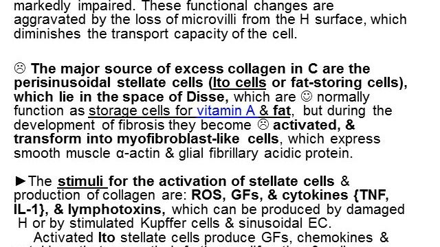 13th Lecture Video GIT = 2 Liver Path wiswasi смотреть онлайн