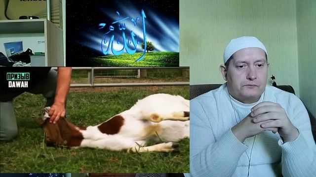 Мансур заставил замолчать вегетарианцев смотреть онлайн