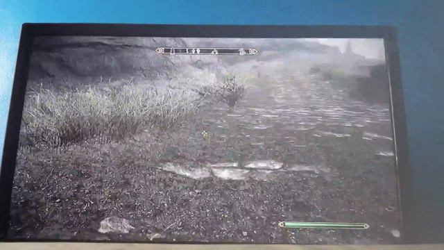 Simple way to get all 20 Jazbay grapes in skyrim смотреть онлайн