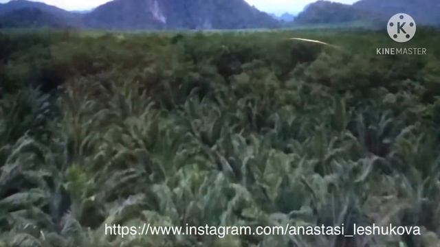 Медитация на раскрытие талантов смотреть онлайн