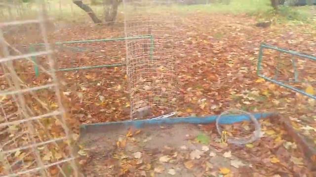 Шпалера для огурцов смотреть онлайн