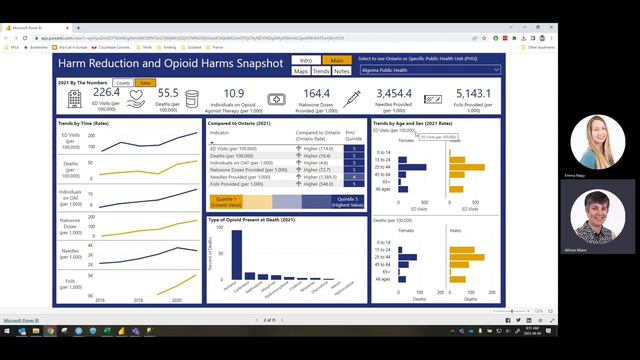 How To Use The Harm Reduction And Opioid Harms Snapshot
