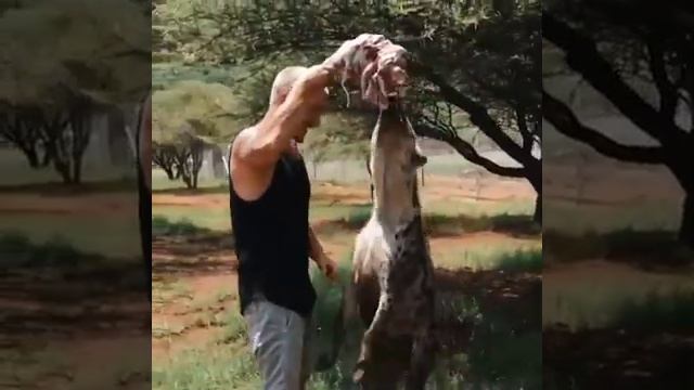 Львы и человек, дружба. Дружба человека и животных. смотреть онлайн