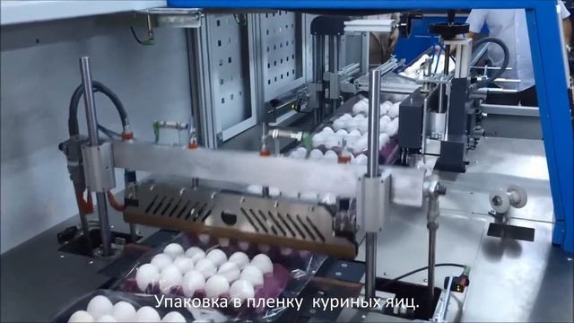 упаковка куриных яиц