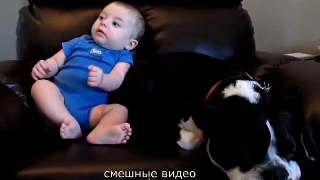 СМЕШНЫЕ ВИДЕО СТРАШНЫЕ ПРИКОЛЫ смотреть онлайн