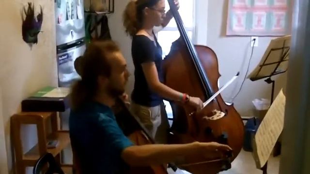 Rossini Duet for Cello & Bass, 1st Mvt Seth & Audrey Girton смотреть онлайн