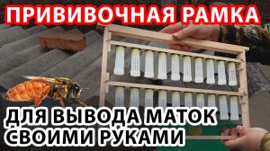 ПРИВИВОЧНАЯ РАМКА ДЛЯ ВЫВОДА МАТОК СВОИМИ РУКАМИ