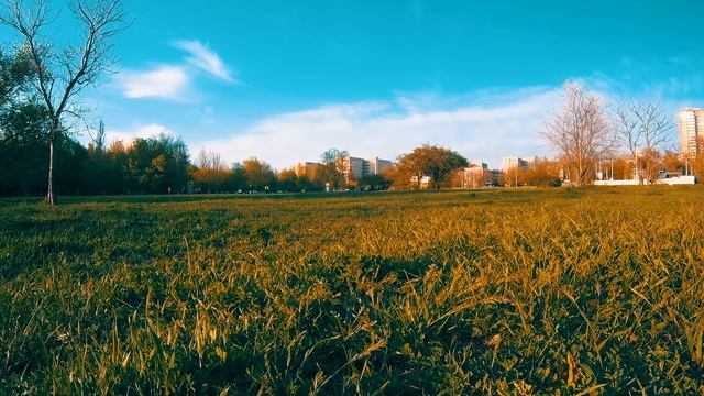 2K Ростов-на-Дону. ПОЛЕ ЮФУ. НЕ МНОГО ВЕСЕННЕЙ ПРОХЛАДЫ. ASMR смотреть онлайн