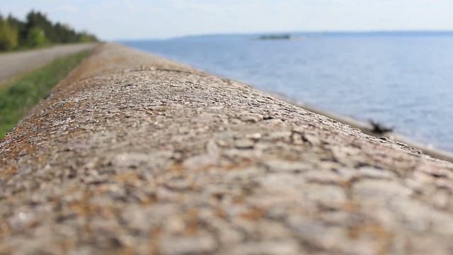 Canon 600d Video test смотреть онлайн