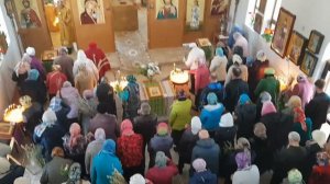 Тропари на антифонах, Вход Господень в Иерусалим