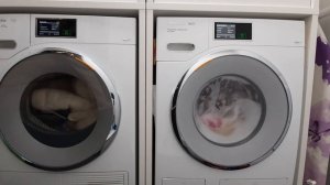 Miele WMV960 WPS + Miele TMV840 WP in Aktion!!