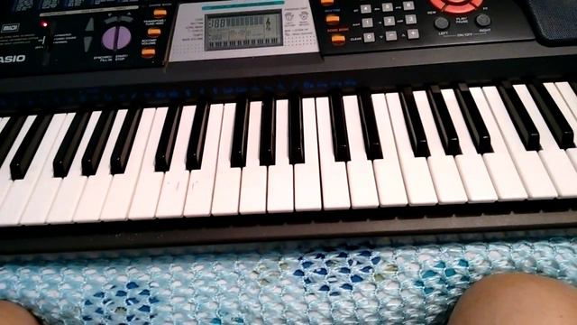 Casio Ctk 501