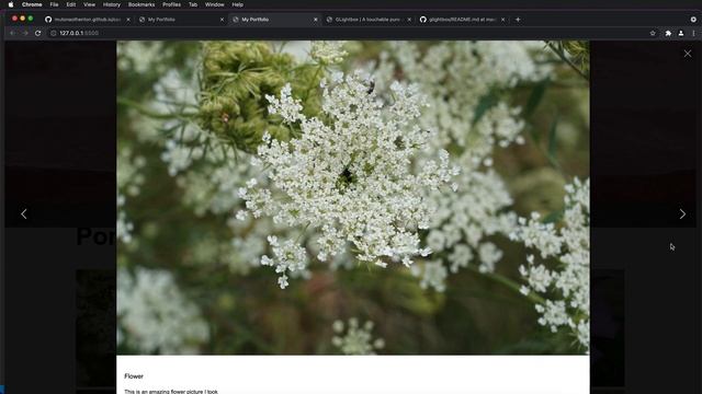 Free Website Portfolio GitHub Pages Tutorial смотреть онлайн