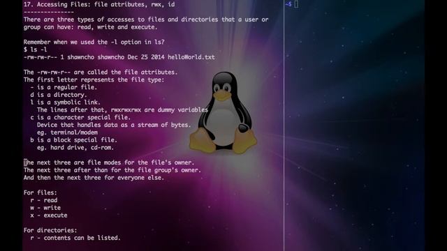 Command Line Tutorial 17. Accessing Files: file attributes/modes, rwx смотреть онлайн
