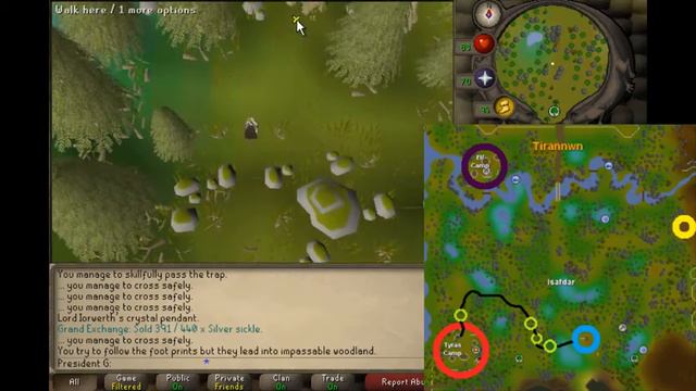07RS - Regicide - Short quest guide with maps смотреть онлайн