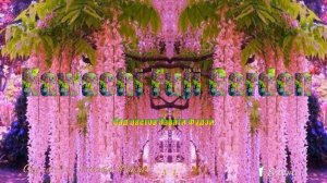 Сад цветов  Kawachi Fuji Garden  *