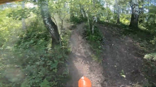 Прохват по лесу на Avantis 250 172FMM FastAce смотреть онлайн