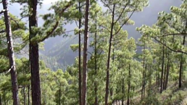Caldera de Taburiente - Cumbrecita walk смотреть онлайн