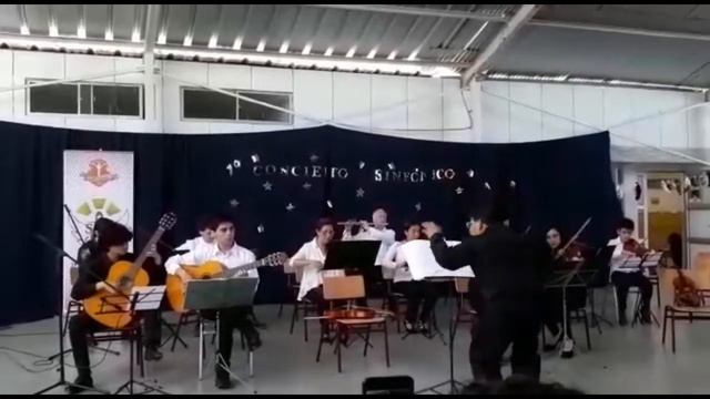 Andante Concierto en Sol mayor para Mandolina y Orquesta de Antonio Vivaldi смотреть онлайн