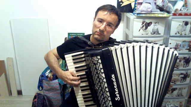 Голубые береты - Синева (на аккордеоне, инструментальная версия) смотреть онлайн