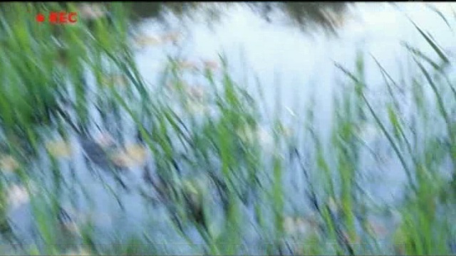 Казахи - Гусман снял фильм о Казахстане.