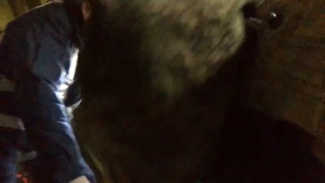 Прыжок с парашютом д10 смотреть онлайн