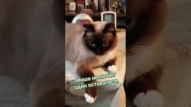 Жена- друг!?? смотреть онлайн
