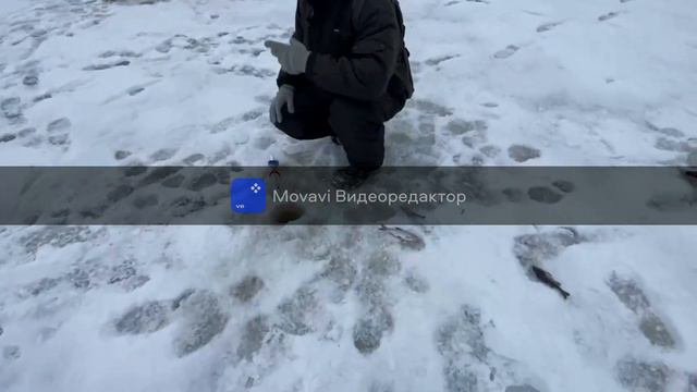 Особенности зимней рыбалки! смотреть онлайн