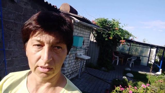 ЖИВУ ОДНА. КЛАССНЫЙ ЛУК Ред Барон и Сноубол ??,отличный урожай! смотреть онлайн