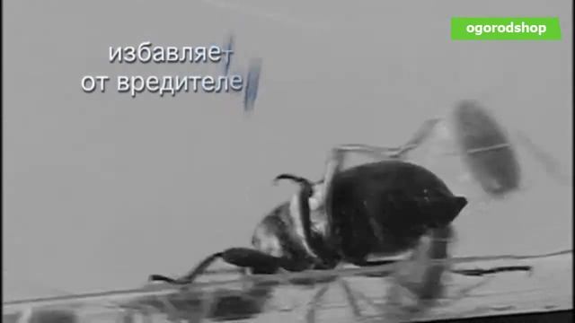 Newtech Home. Ультразвуковой отпугиватель вредителей (грызунов и насекомых) для Вашего дома