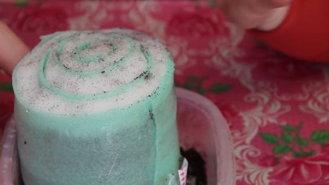 Посев Семян по Снегу. Лобелия из семян. смотреть онлайн