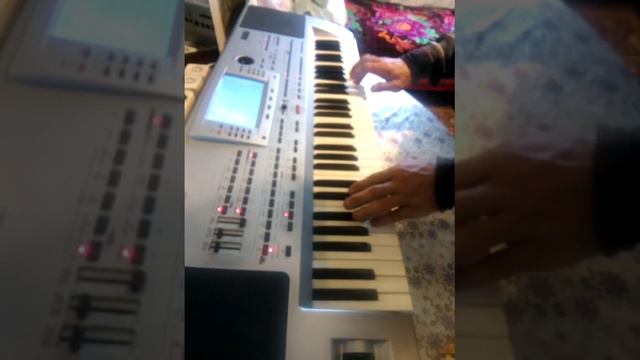 korg pa 80 фокстрот смотреть онлайн