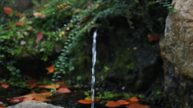 Nikon Cinematography // In Depth Nikon D7500 Video Test